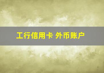 工行信用卡 外币账户